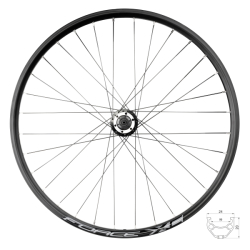 Zapletené kolo FORCE XC DISC 559x19 F804333-6d 32d zadní